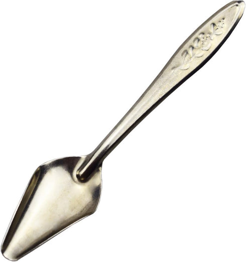4.7" Bird Parrot Stainless Steel Feeding Spoon - Special Feeding Scoop for Peony Cockatiel Parrot (2 PCS)