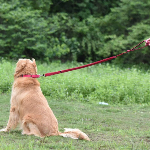 Hyhug Pets Premium Upgraded Adjustable Between 4 Feet and 6 Feet Leash with Durable Nylon and Super Soft Neoprene lined Handle for Young Dogs Daily Use. (Small Adjustable 6 Feet, Rose Red Pink)