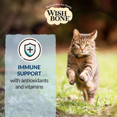 Wishbone Roost New Zealand Chicken, Gluten Free, Grain Free Dry Cat Food - Premium Chicken Recipe for Overall Pet
