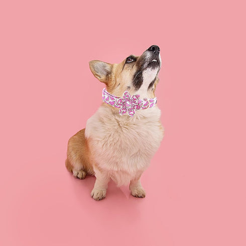 Adjustable Dog Collar with Flower - Elegant Watermelon Print Cute Collar for Large Dogs