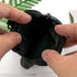 Waterproof Dog Training Treat Pouch with Built-in Poop Bag Dispenser, Adjustable Shoulder Bag (BLK)