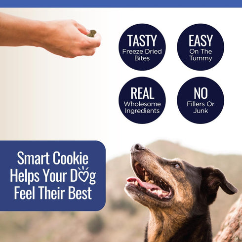 Freeze Dried Beef Liver Bites - 2oz Bag, 1 Pack - Low Calorie Single Ingredient Dog Treats for Training