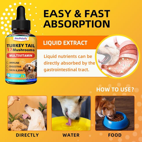 17 1 3000mg 10 Immune 3.38FL.oz in Turkey Tail Mushroom for Dogs - High Potency Turkey Tail Extract for Dogs