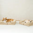 EHEYCIGA Orthopedic Dog Bed for Medium Dogs, Waterproof Memory Foam Couch Bed with Non-Slip Bottom and Washable Cover,