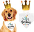 YROVWENQ Funny Cute 2 Years Dog Birthday Bandana Scarfs, Dog Birthday Party Crown Hat for Pet Decoration