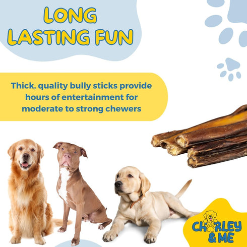 Premium Bully Sticks for Dogs, 100% Natural Beef Dog Treats, Long-Lasting Chew for Aggressive Chewers, 6 Inches, Pack