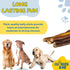 Premium Bully Sticks for Dogs, 100% Natural Beef Dog Treats, Long-Lasting Chew for Aggressive Chewers, 6 Inches, Pack