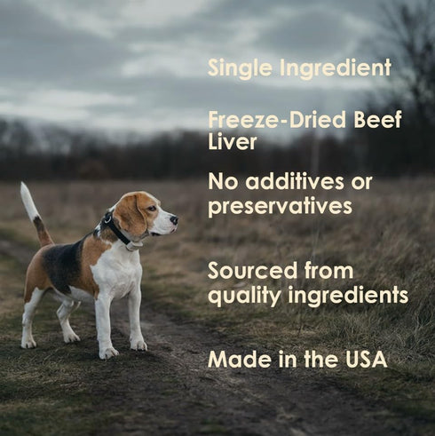 3.5oz (Pack 4) MVPChews | Freeze Dried Beef Liver Dog Treats | Single Ingredient Training Treats | High Protein, Grain