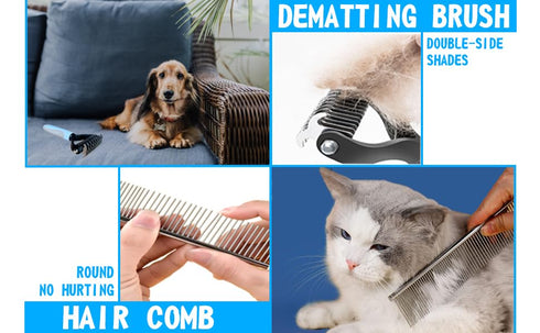 Pet Grooming Kit - Cat and Dog Brushes with Grooming Loop Leash, Apron, Dematting Comb, Slicker Brush, Bath Brush (blue)