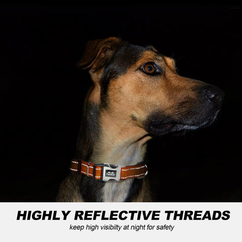 TwoEar Heavy Duty Dog Collar, Soft Neoprene Padded Breathable Nylon, Adjustable Reflective for Small Dogs