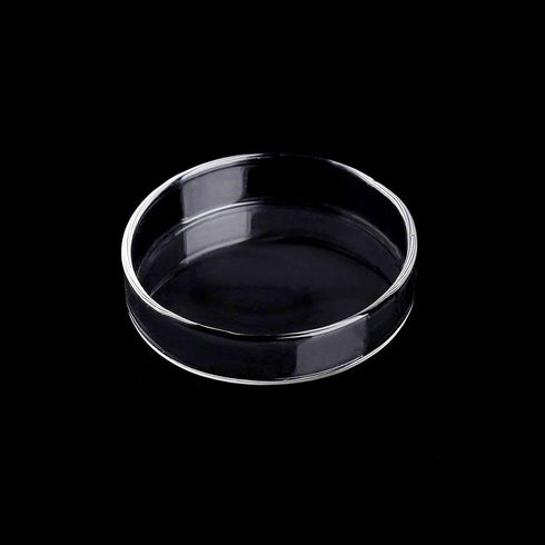 WEAVERBIRD 60mm Aquarium Shrimp Feeder Dish, Round Clear Glass Feeding Bowls for Fish Tank