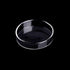 WEAVERBIRD 60mm Aquarium Shrimp Feeder Dish, Round Clear Glass Feeding Bowls for Fish Tank
