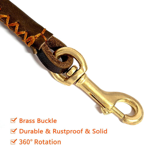 Guiding Star Leather Dog Leash, 6 ft for Small to Medium Dogs (1/5 inch Wide, Brown)