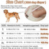 AIO (3 Pack) Washable Reusable Dog Diapers Male Breathable Belly Bands for Male Dogs Diapers with Nappy Dog Wrap