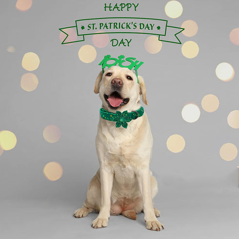 Elegant little tail St. Patrick's Day Dog Collar with Flower, Green Clover Adjustable Collar for X-Large Dogs