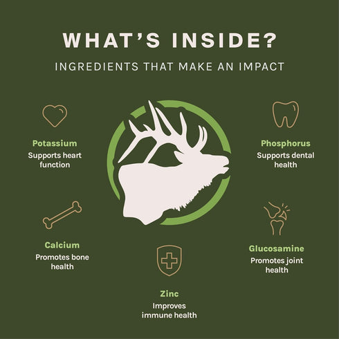 Premium Elk Antlers for Large Dogs by Good Trouble Pets - All-Natural Shed Antler Chews for Dental Health & Calming