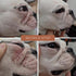 Wrinkle Rub for Bulldog, French Bulldog, Pug, English Bulldog, Cleans & Soothes Wrinkles, Folds, Tear Stains, Anti-Itch