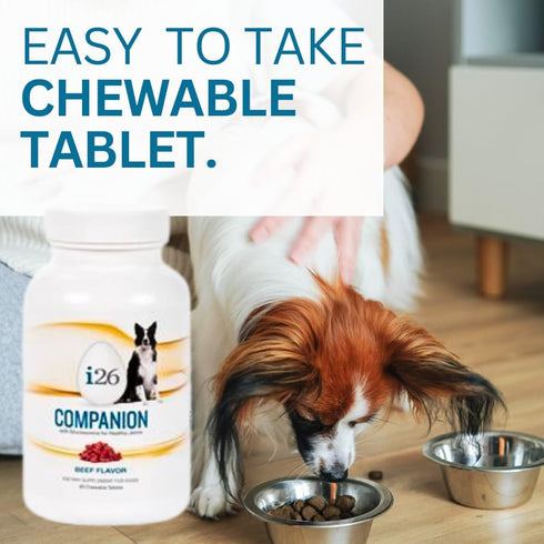 Chewable Dog Nutrition Companion - 60 Beef Tabs for Puppies to Adults