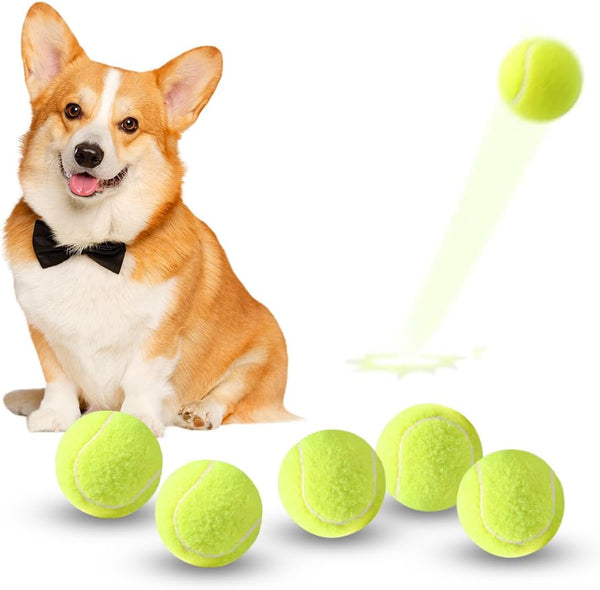 ZIYIZE Mini Tennis Balls, 6 Pack 2 inch Dog Tennis Balls, Easy