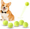 ZIYIZE Mini Tennis Balls, 6 Pack 2 inch Dog Tennis Balls, Easy