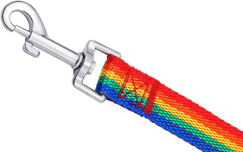 AmaGood Dog/Puppy Obedience Recall Training Agility Lead, 30 ft Long Leash for Training, Recall, Safety (Rainbow)