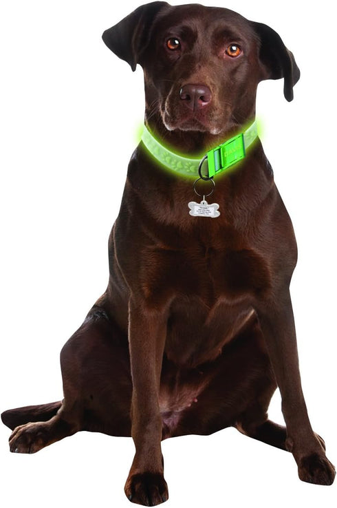 Davis Manufacturing FurEver Brite Glow in The Dark Pet Safety Collar, Medium to Large, Green