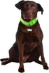 Davis Manufacturing FurEver Brite Glow in The Dark Pet Safety Collar, Medium to Large, Green