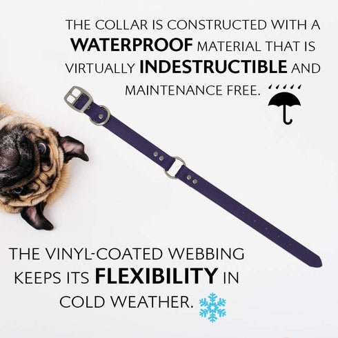 Regal Dog Products Small Purple Dog Collar with Heavy Duty Double Buckle & D Ring, Adjustable Biothane Chew Resistant