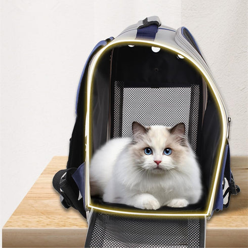 Falytemow Cat Carrier Backpack, Waterproof Collapsible Bag for Hiking and Camping, Brown, Large
