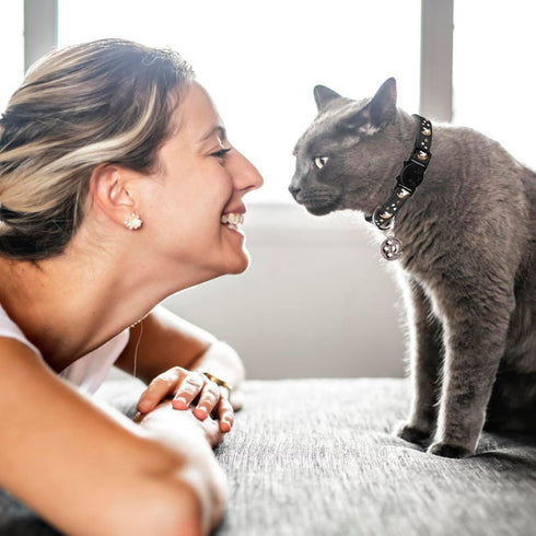 2Pcs Breakaway Cat Collars for Boy & Girl Cats, Adjustable Kitten Collars with Bell, Black + Gray