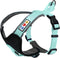 Pawtitas Reflective Dog Harness, Padded Dog Vest for Comfort Control, Great for Walking or Running, Small Teal
