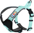 Pawtitas Reflective Dog Harness, Padded Dog Vest for Comfort Control, Great for Walking or Running, Small Teal