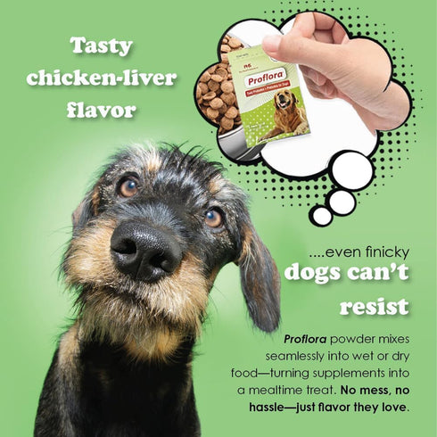 Probiotics for Dogs - Complete Gut Health & Immune Support, 30 Packets for Easy Digestive Multi-Strain Use