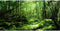 AWERT 36x18 inches Tropical Terrarium Background Green Tree Reptile Habitat Background