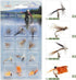 YZD 12pcs Fly Fishing Trout Flies Kit Fly Fishing Lure for Trout Premium Dry Wet Flies Streamer Mayfly Emerger Flys