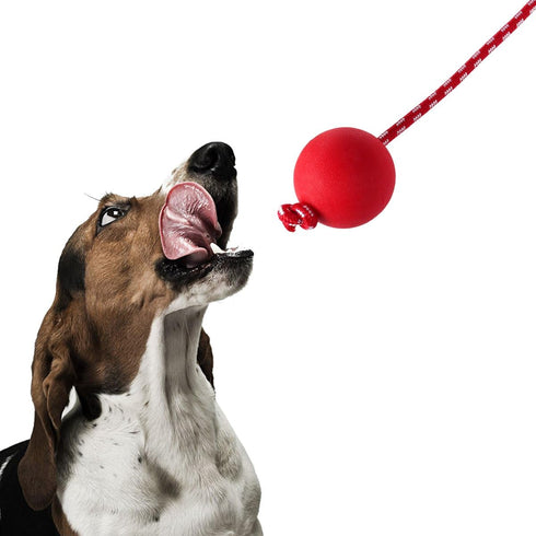 UEETEK Red Dog Training Ball on Rope: 2.95 Inch Diameter Rubber Toy for Puppy Fetch Catch Throw Training