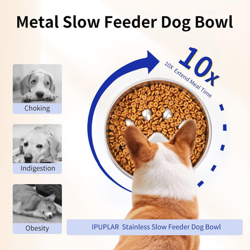 Slow Feeder Dog Bowls, 304 Stainless Steel Anti Flip Dog Bowl, 2X Non-Slip, 2-4 Cups for Small & Medium Breeds