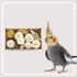 Generic Bird Toys Bird Foraging Shredding Chewing Parrot Foraging Shredding Toys Chewing Toy Birdcage Accessories
