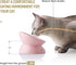 Sweejar Slanted Ceramic Cat Bowls, Elevated Porcelain Pet Feeder for Food or Water, Backflow Prevention (Pink)