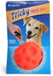 Omega Paw Authentic Tricky Treat Ball - Medium,Orange