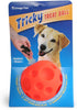 Omega Paw Authentic Tricky Treat Ball - Medium,Orange