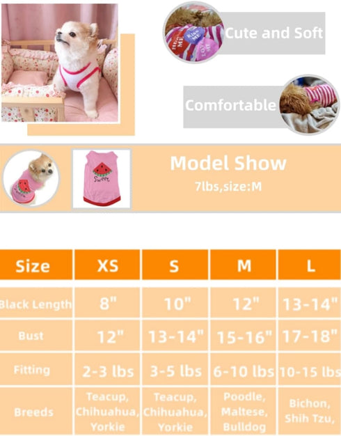 Girl Dog Clothes - Small Dogs Apparel, Princess Outfits, Medium Dog Sweatshirt for Puppies