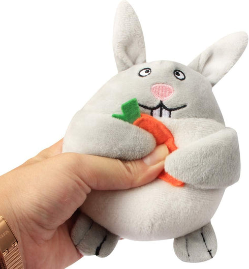 IFOYO Plush Squeak Dog Toys, Stuffed Dog Plush Toy Easter Gift for Medium Small Dogs, Interactive Durable Squeak Toy,