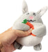 IFOYO Plush Squeak Dog Toys, Stuffed Dog Plush Toy Easter Gift for Medium Small Dogs, Interactive Durable Squeak Toy,