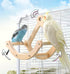 Bird Perch Toy, Interactive Rocking Parakeet Toys and Perches, Wooden Exercise Cockatiel Toys, Intelligence Birds