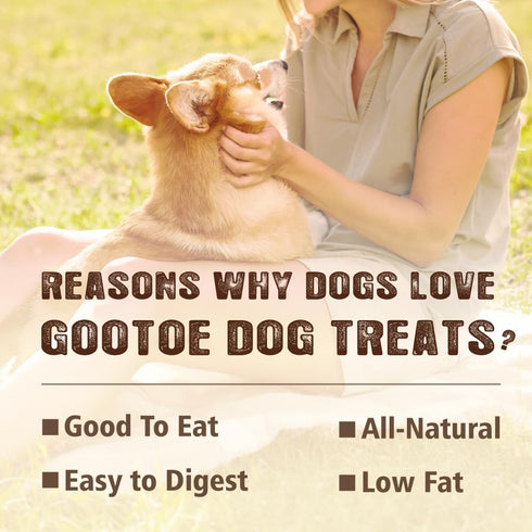 1 lb (Pack 3) Gootoe Soft Dog Treats, Chicken Jerky - Dog Training Treats; High-Protein, Gluten-Free, Soft Jerky