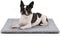 Dog Bed 30" x 20" Grey, Washable Dog Crate Mat, Ultra Soft & Anti-Slip, Suitable for Dogs Up to 35 lbs