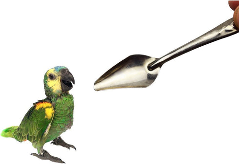 4.7" Bird Parrot Stainless Steel Metal Feeding Spoon, Special Feeding Scoop for Peony Cockatiel Parrot (3 PCS)