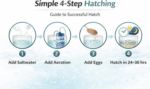 Generic (0.7oz) Premium Brine Shrimp Eggs High Hatch Rate Artemia Cysts for Fish Fry, Reef & Aquarium Fish Clean