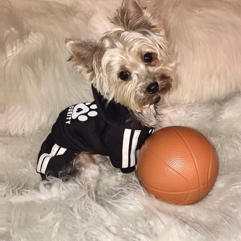 Dog Hoodie, 4 Legs Sweatshirt Jumpsuit, Soft & Warm Pullover Coat for Small Medium Large Dogs Cats (Black, XS)